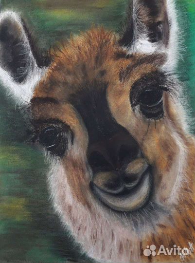 Картина на холсте 30х40, пастель