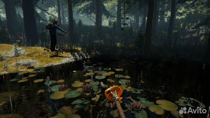 Игры ps4/ps5 Forest