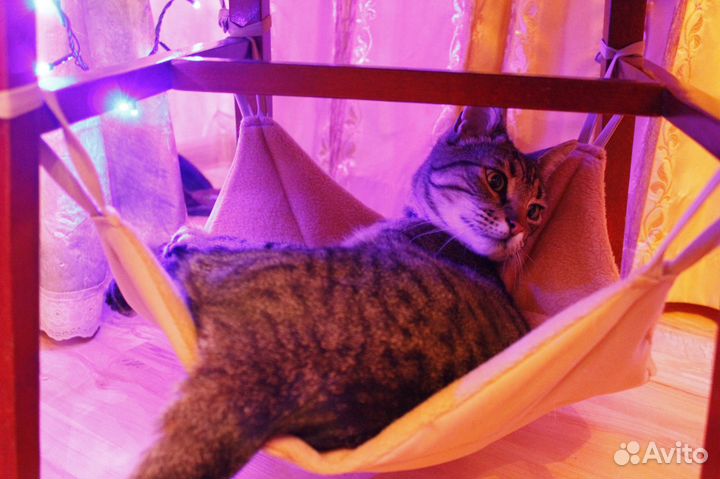 Гамаки лежанки подстилки для котов