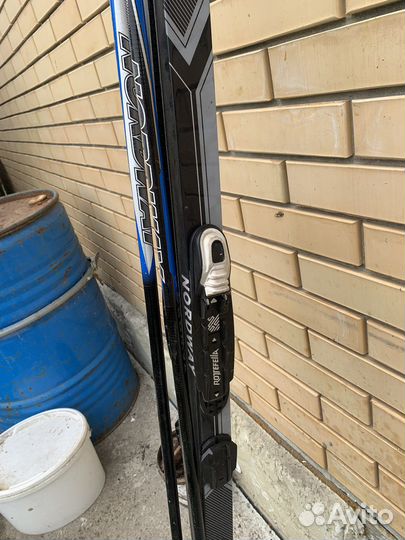 Беговые лыжи