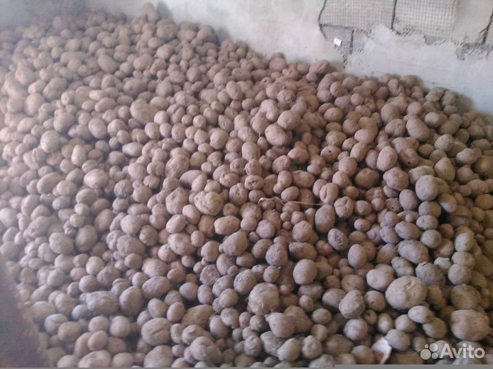 Продаю картофель
