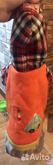 Костюм для собаки