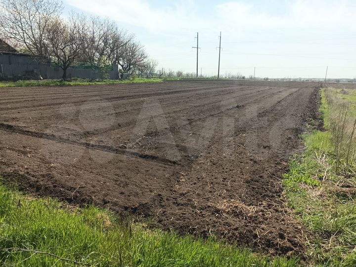 Участок 14,6 сот. (ИЖС)