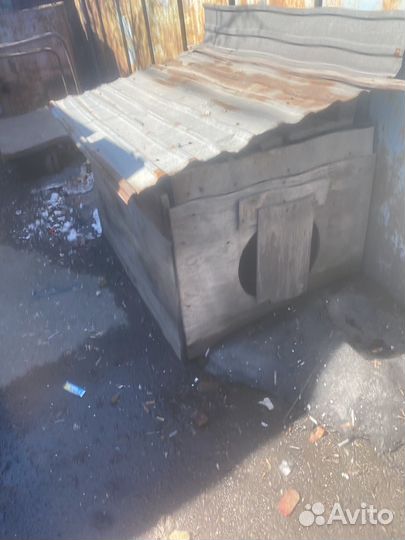 Собачья будка