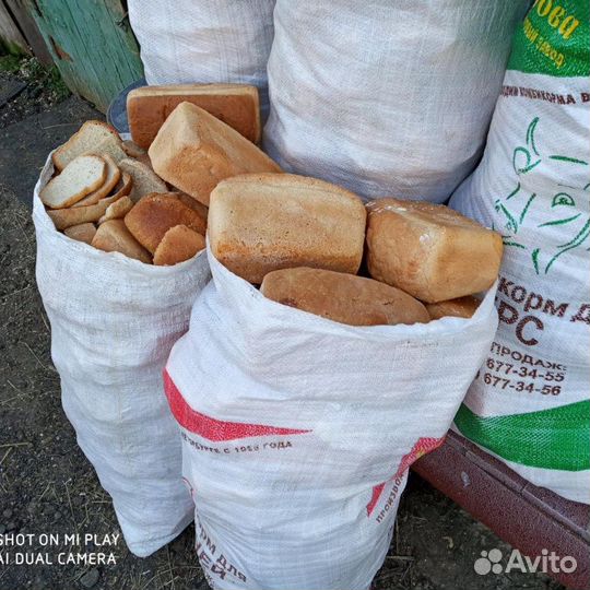 Картошка,хлеб