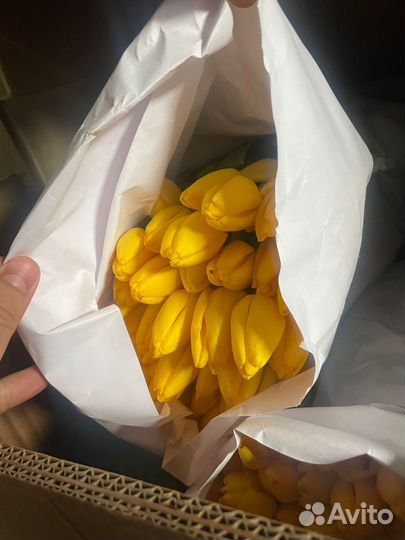 Тюльпаны пионовидные к 8 марта в розницу