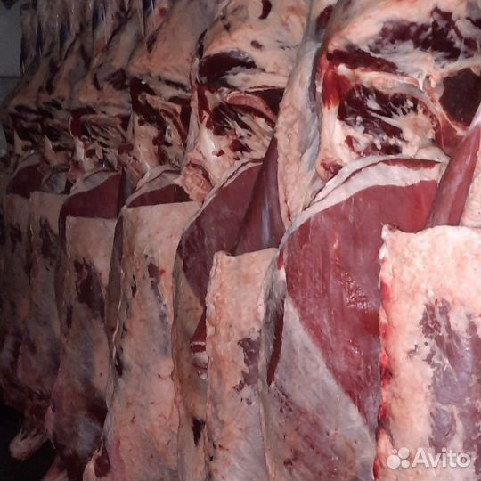 Мясо говядина в тушах