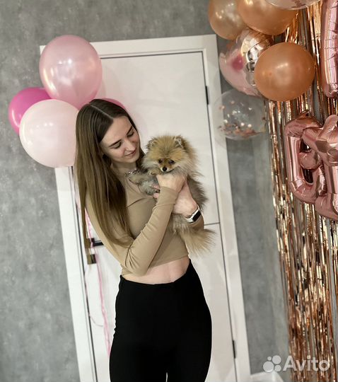 Передержка маленьких собак щенков