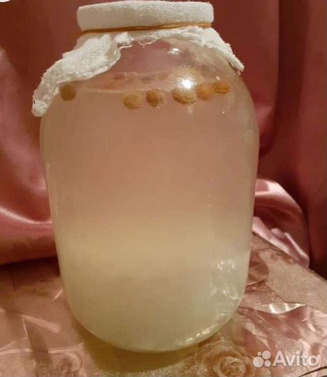 Морской индийский рис