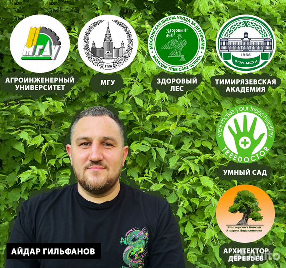 Обрезка яблонь