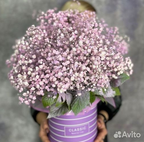 Цветы гипсофилы