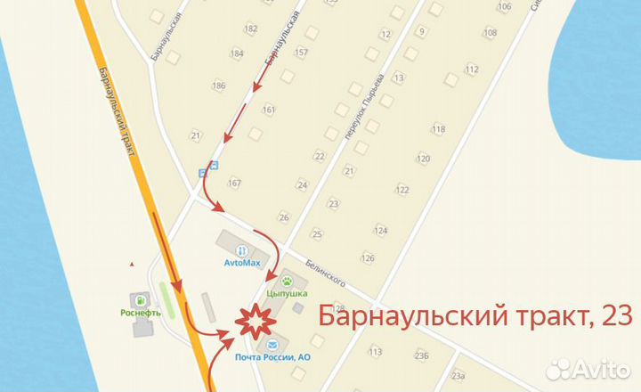 Чиктоник. Кормовая добавка