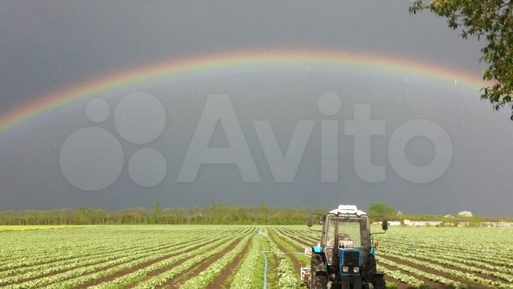 Участок 8 га (СНТ, ДНП)