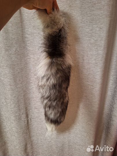 Лисий хвост