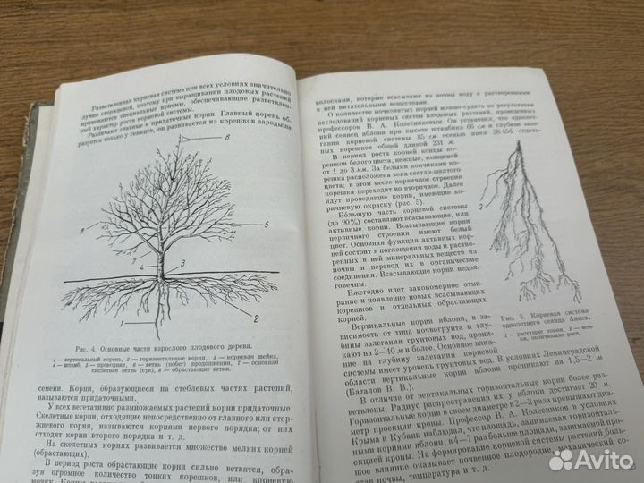 Плодоводство книга 1962 год