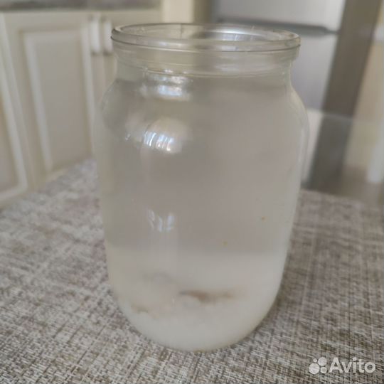 Индийский морской рис