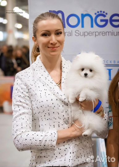 Мини шпиц вязка