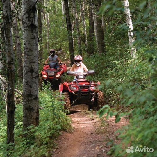 Экскурсия на квадроциклах / Адлер