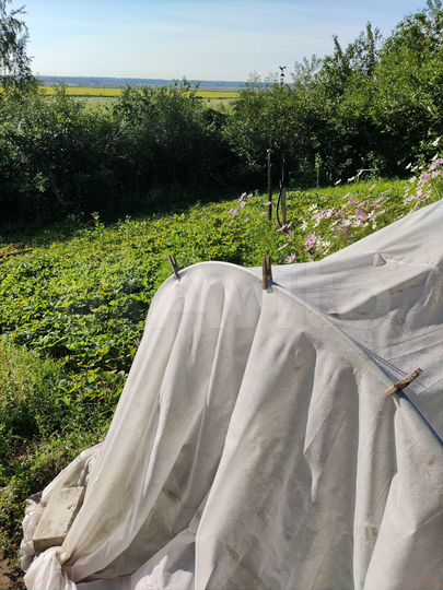 Дом 20,4 м² на участке 7 сот.