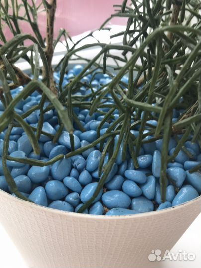 Цветные камни для декора