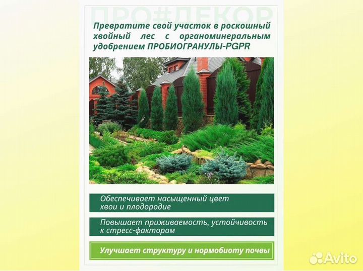 Пробиогранулы pgpr для хвойных