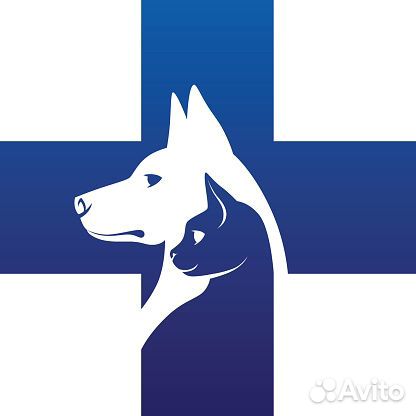 Администратор - продавец