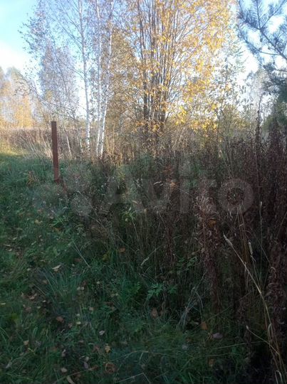 Участок 10 сот. (СНТ, ДНП)