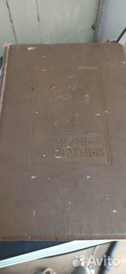 Книга жизнь животных А.Э.Брему