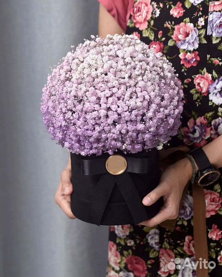 Комплименты из Гипсофилы