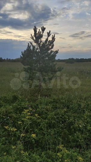 Участок 12,8 сот. (ИЖС)