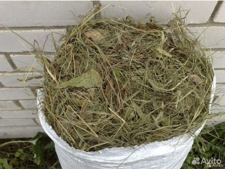 Сено свежий сбор в мешках