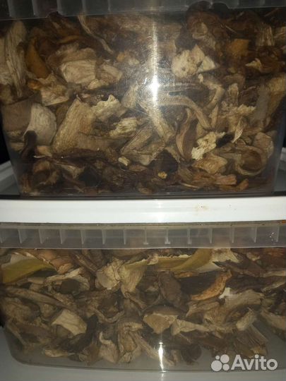 Грибы,маслята и сушёные боровички