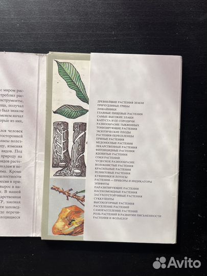 Коллекционные карточки