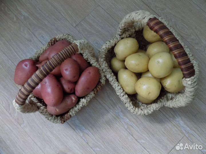 Картофель продовольственный оптом