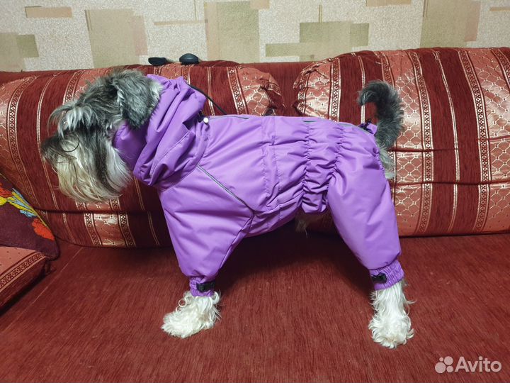 Комбинезон для средней собаки