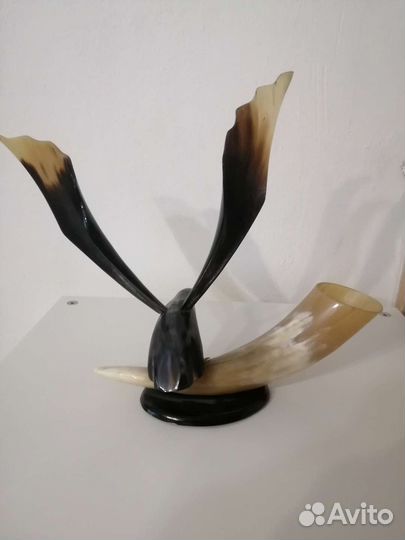 Рог Изобилия Орел