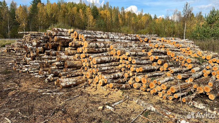 Уголь древесный березовый в мешках