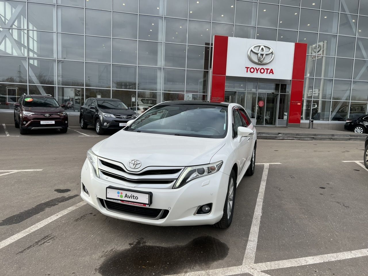 Toyota Venza: фото владельца