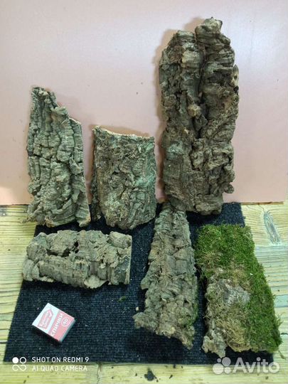 Кора пробкового дуба