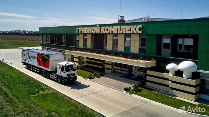 Оператор линии без опыта