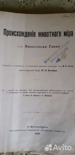 Антиквариат книги