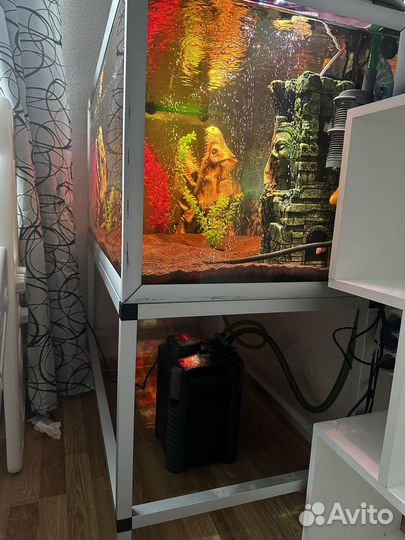 Аквариум 250 литров с тумбой