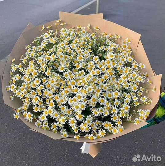 Цветы ромашки. Букеты ромашек. Цветы доставка