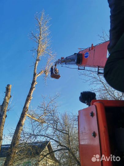 Услуга Манипулятора