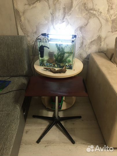 Аквариум