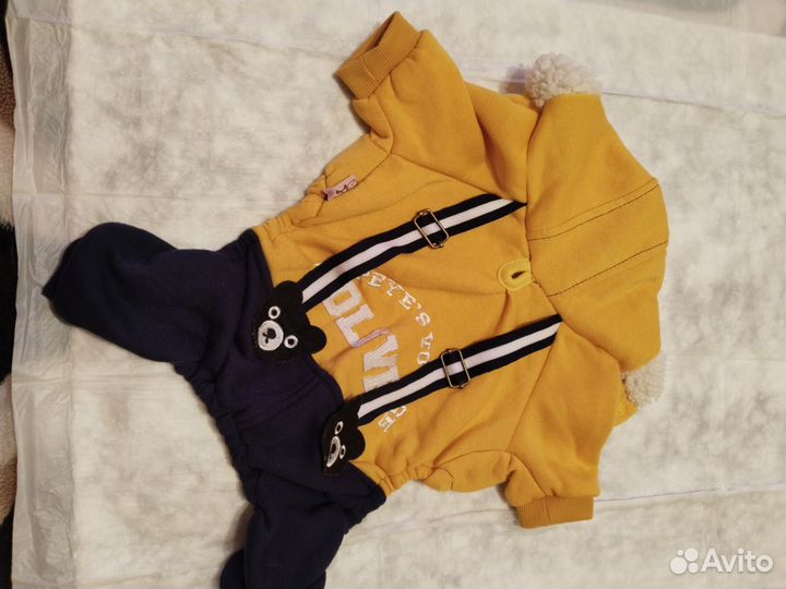 Одежда для собак мелких пород