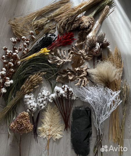 Сухоцветы