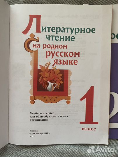 Учебник литературное чтение Александрова О.М