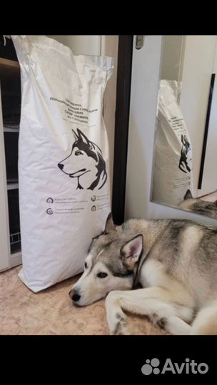 Корм Променад супер-премиум класса для собак