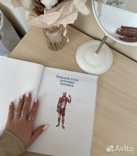 Атлас анатомии